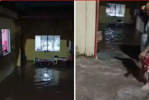Casa é invadida por água após rompimento de rede da Sabesp em Taubaté