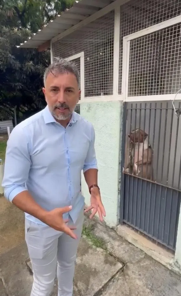 Ataques de cães e superlotação do CCZ colocam proteção animal e segurança pública em debate em São José