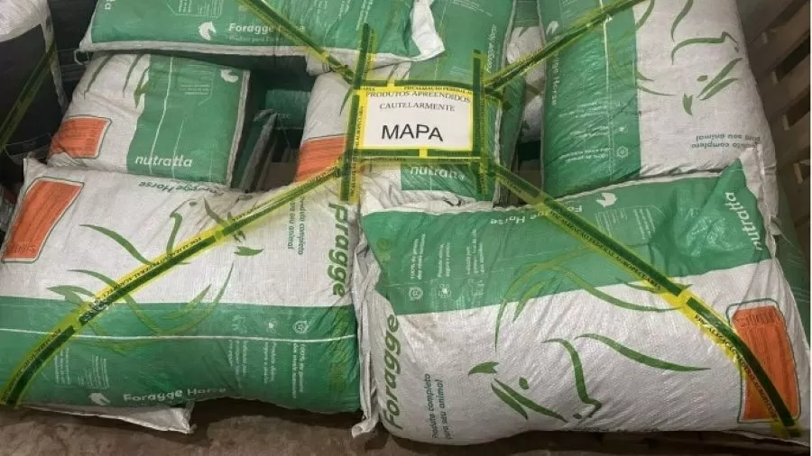 MP entra com ação contra empresa por morte de cavalos; Vale teve 30 casos suspeitos