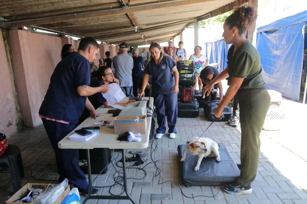 Mutirão garante castração de quase 200 animais no Jardim das Indústrias