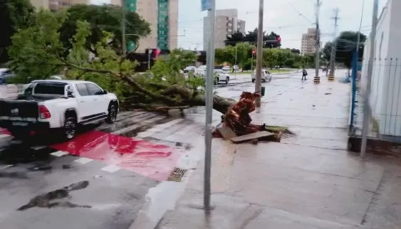 Chuva com granizo provoca alagamentos e derruba árvores em São José dos Campos